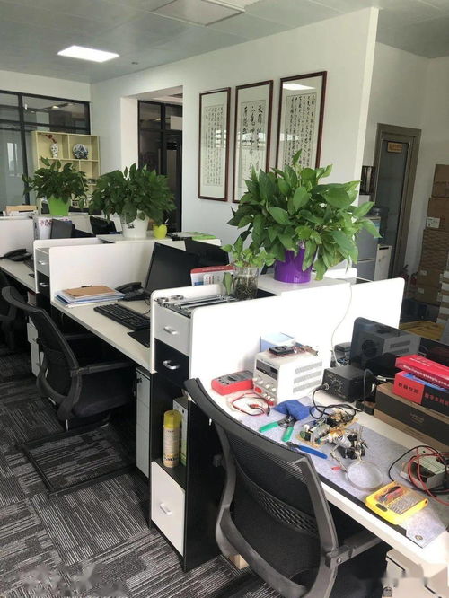 企业走访 ∣ 东莞市湖南汨罗商会走访系列活动（一） 聚焦计算机软硬件研发与销售领域